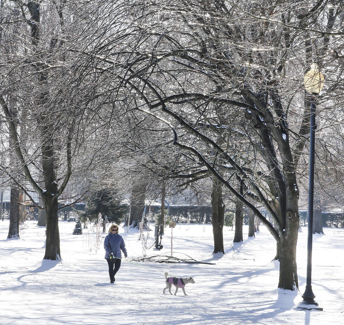 Stacy Whitehead walks with her dog, Dolly, as the sun highlights the ice-covered limbs above the walking trail at Legion Park in Owensboro, Ky., Thursday, Jan. 9, 2025. (Alan Warren/The Messenger-Inqu ...