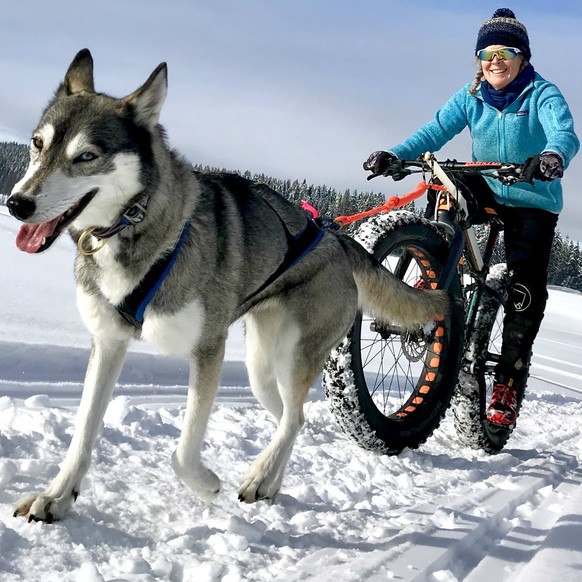 Rauszeit Aktivitäten ohne Schnee Winter Fatbike Husky Jura