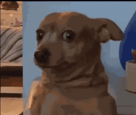 Animiertes GIF