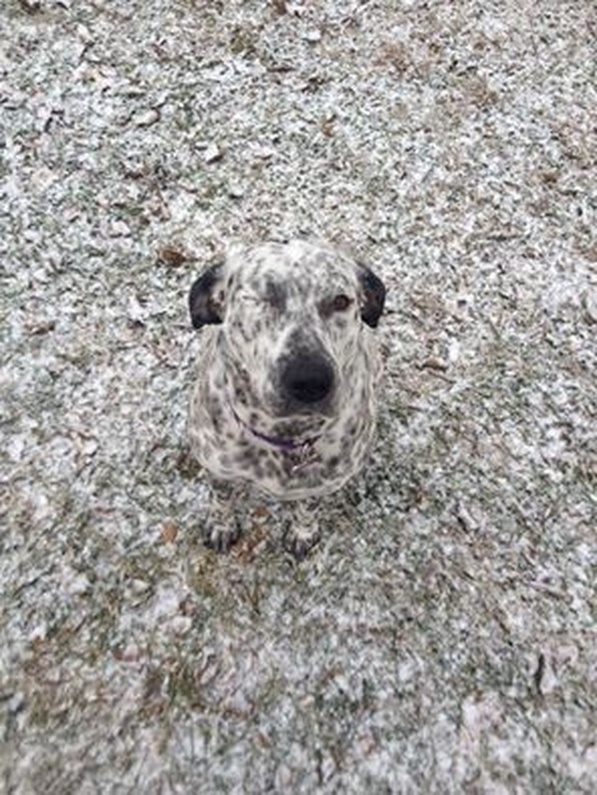 cute news tier hund

https://ch.pinterest.com/pin/296674694178684912/