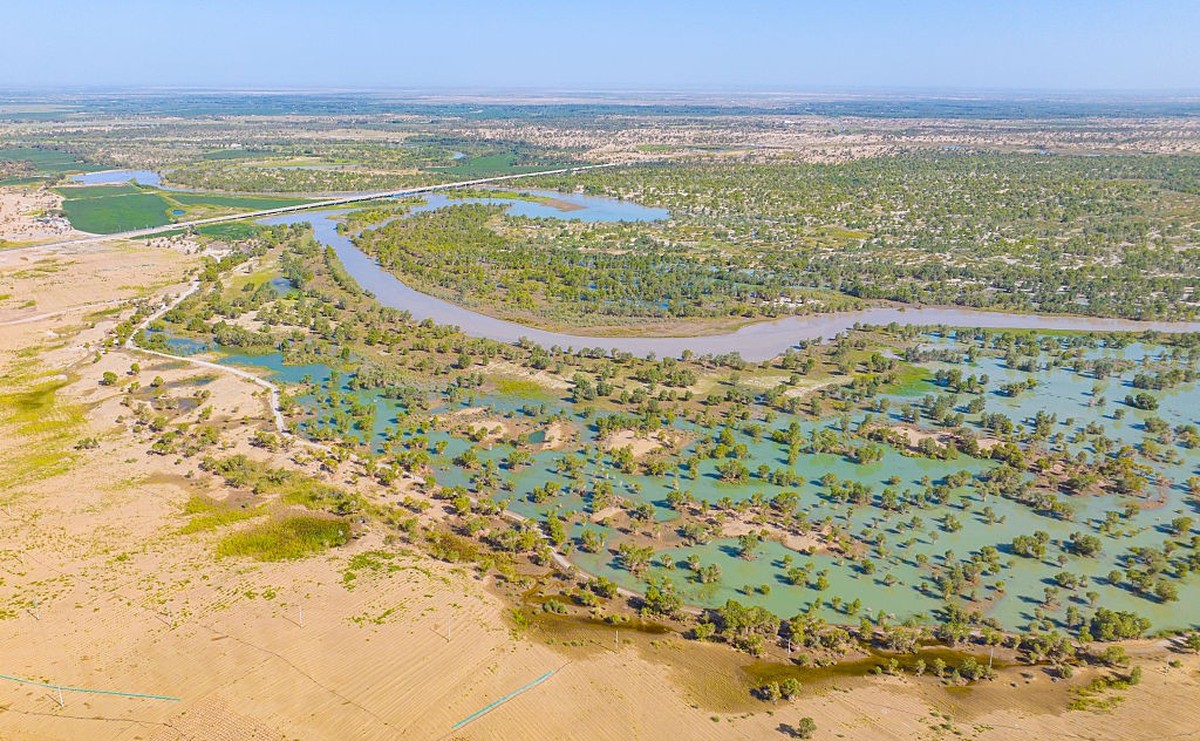 BAZHOU, CHINA - AUGUST 27, 2025 - Populus euphratica trees growing on both banks of the Tarim River at the edge of the Taklimakan Desert in Bayingolin Mongolian Autonomous Prefecture, China on August  ...
