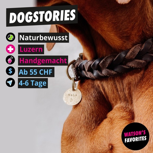 Das geflochtene Fettleder-Halsband mit der personalisierbaren DogStories-Hundemarke.