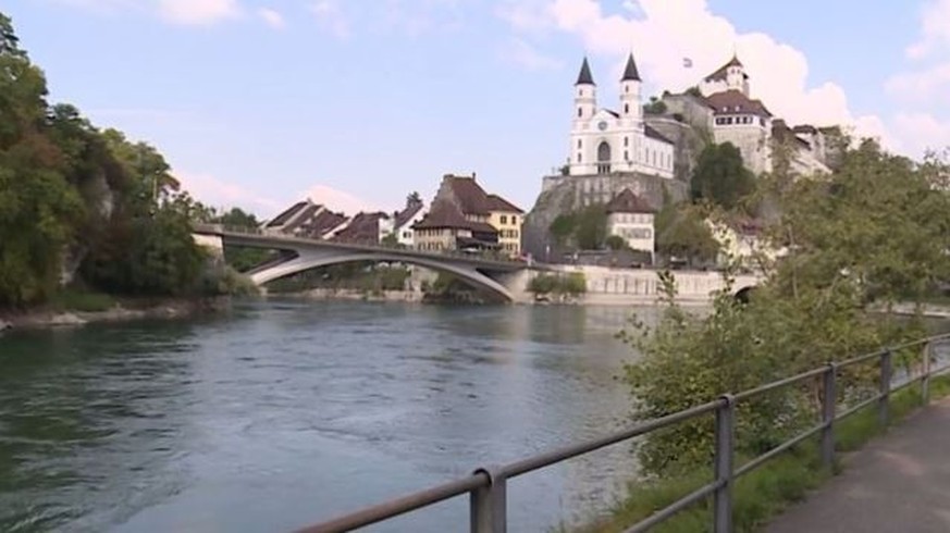 In der Aare bei Aarburg wurden zwei Hunde mit Gewichten ertränkt.