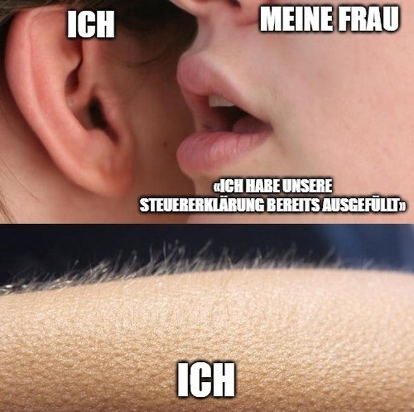 Die besten Memes zur Steuererklärung