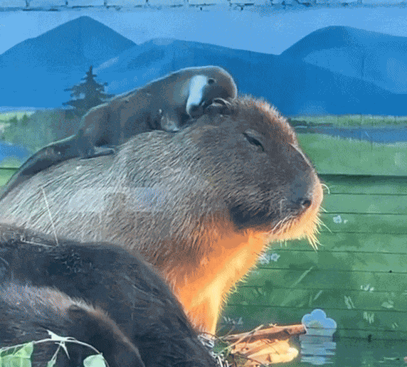 Animiertes GIF