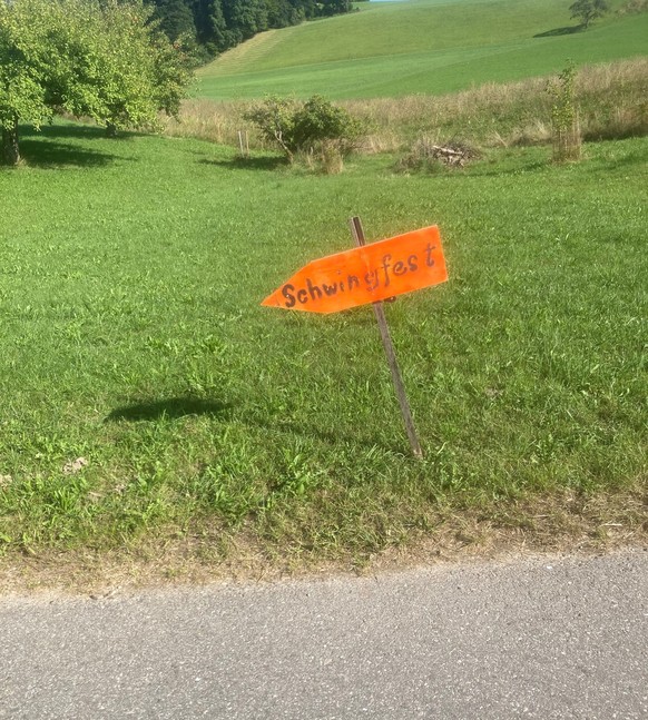 Bilder vom Eidgenössischen Schwingfest der Frauen auf dem Oberbühl.