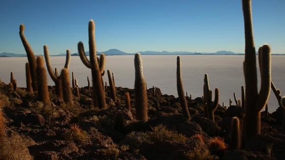 Die Salar de Uyuni in Bolivien. Sie beherbergt eines der grössten Lithiumvorkommen. 