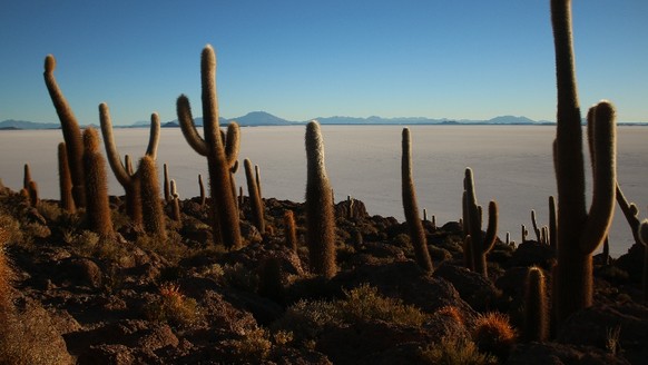 Der Salar de Uyuni ist mit mehr als 10&#039;000 Quadratkilometern, rund ein Viertel der Schweiz, die grösste Salzpfanne der Welt