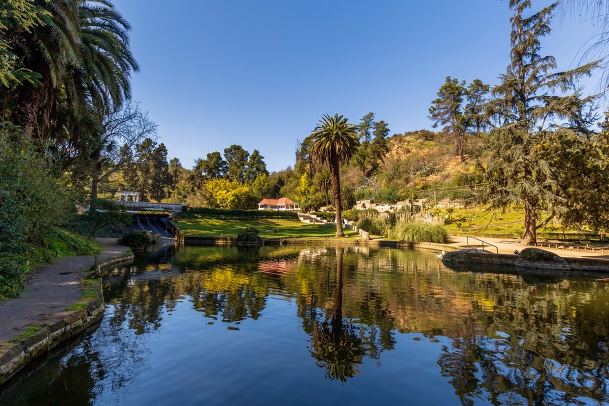 vina del mar, botanical garden, chile