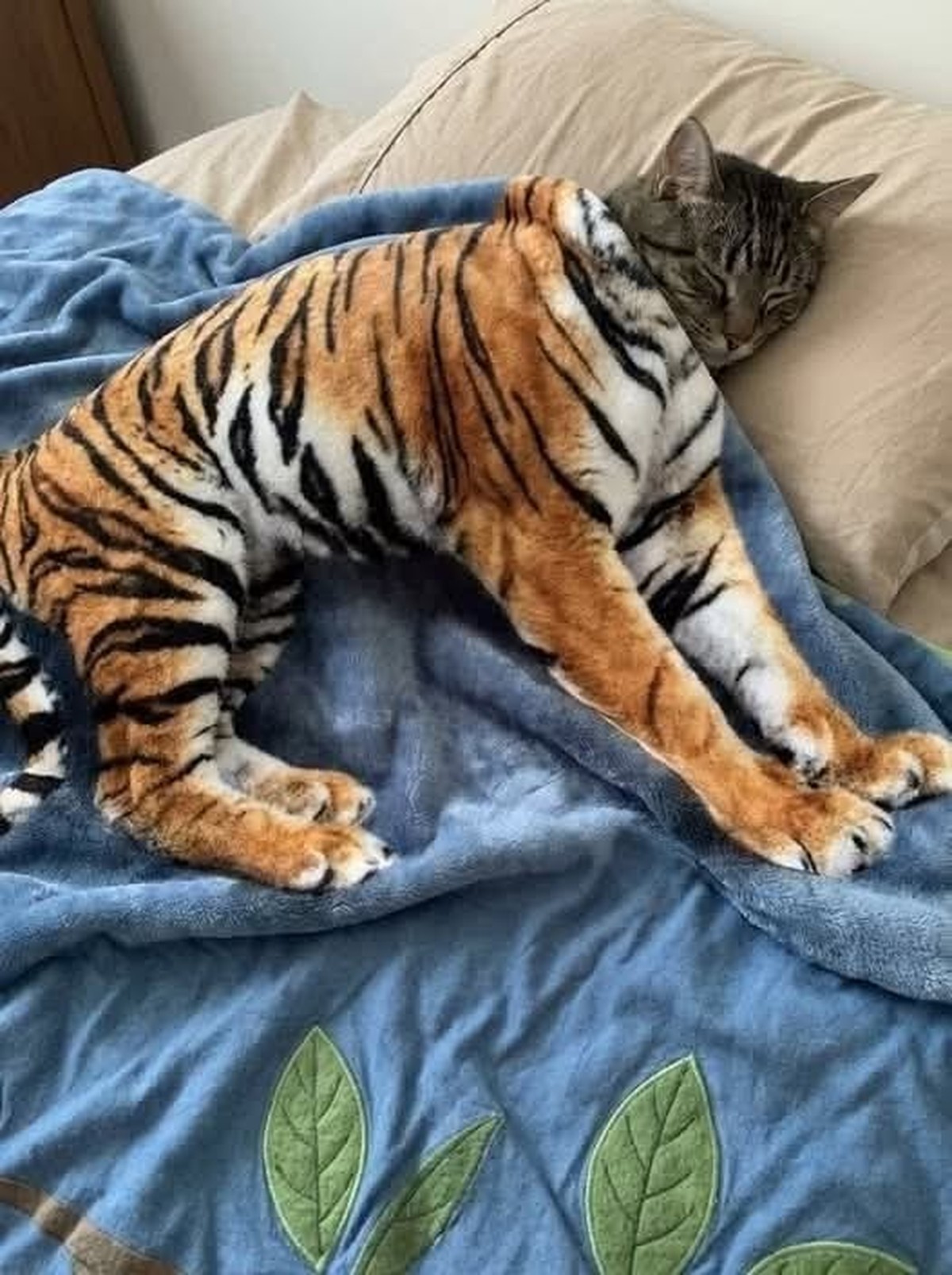Schlafende Katze Tiger

https://i.pinimg.com/736x/28/bb/2b/28bb2b92579feb6c1636fbd877b4ce7e.jpg