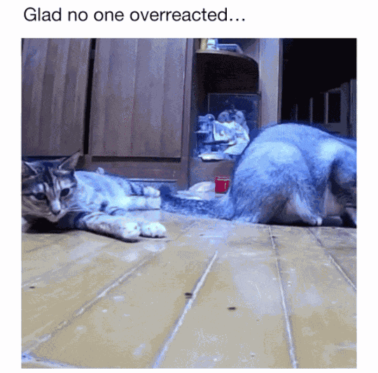 Animiertes GIF