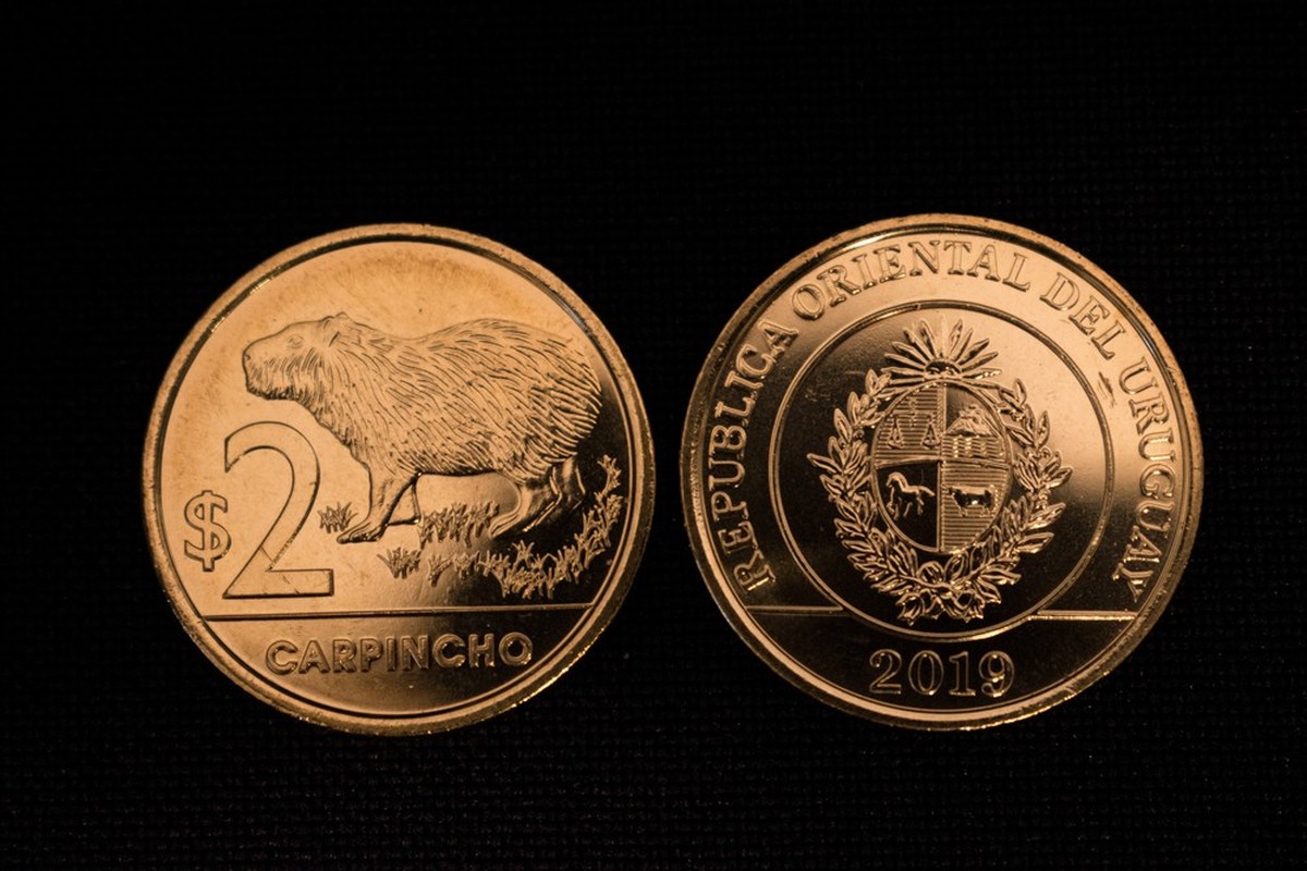 Uruguayischer Peso mit Capybara auf der Rückseite
