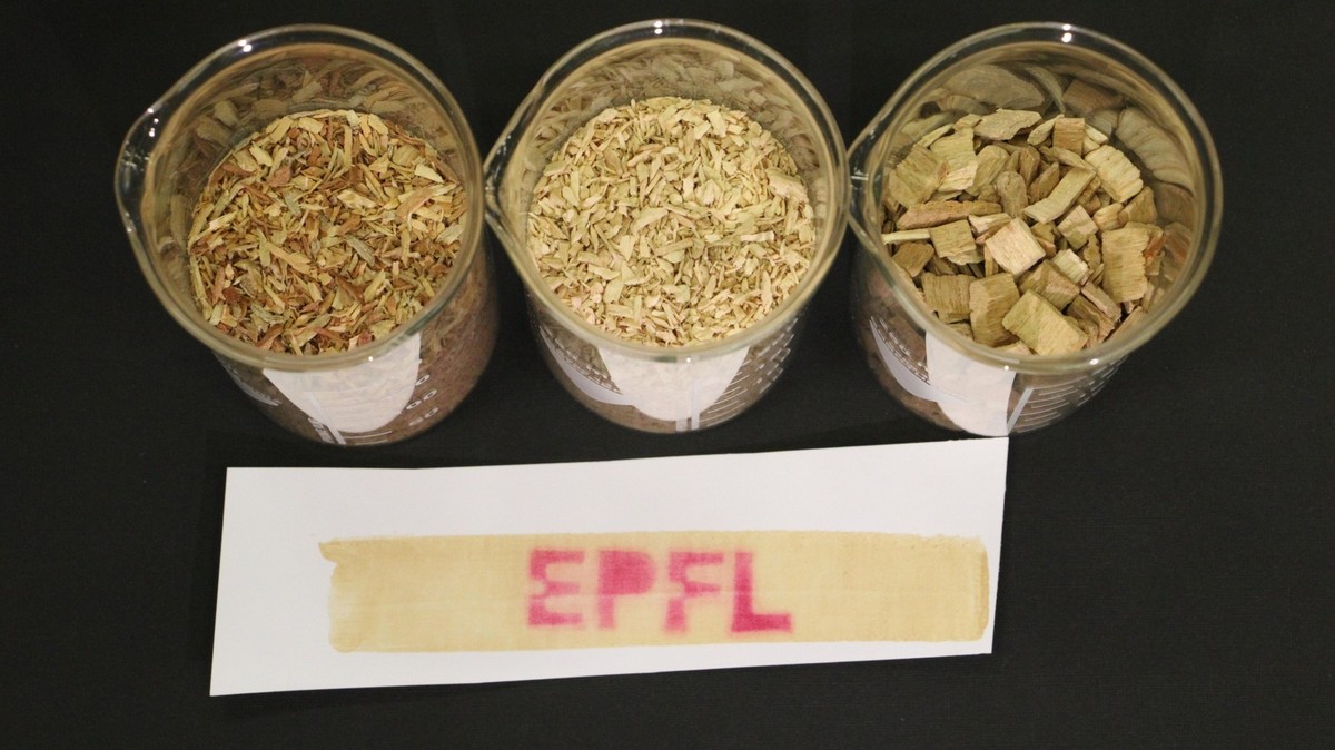 Logo de l’EPFL imprimé sur du papier thermique à base de lignine. Crédit: 2025 EPFL/J. Luterbacher CC-BY-SA 4.0
