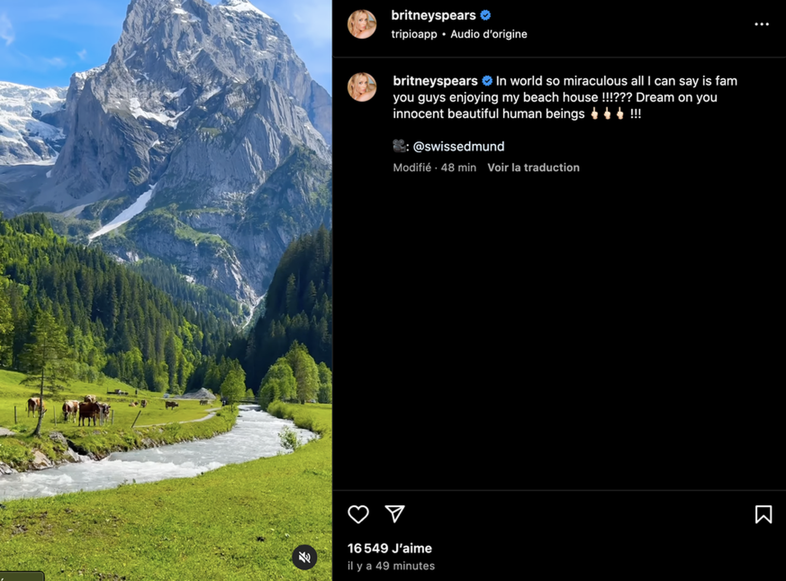 Britney Spears postet Video des Schweizer Influencers, um gegen ihre Familie zu stänkern.