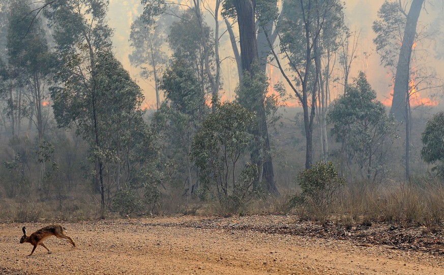 Temperaturen knapp unter 40 Grad, wenig Essen und kein Handyempfang: Eine australische Familie überlebte nur mit viel Glück in der australischen Wildnis.