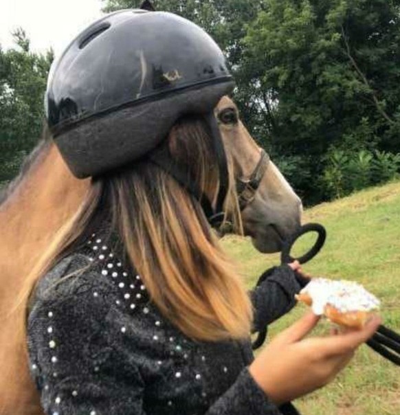 These 25 photos will crack your brain