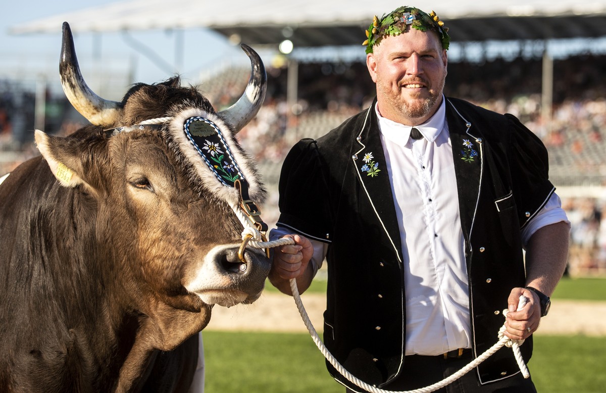 Der neue Schwingerkoenig Christian Stucki mit dem Siegermuni "Kolin" am Schluss des Eidgenoessischen Schwing- und Aelplerfests (ESAF) in Zug, am Sonntag, 25. August 2019. (KEYSTONE/Alexandra ...