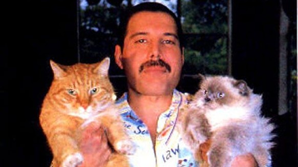 Freddie Mercury im Pyjama mit Katzen. http://foto-history.livejournal.com/6054636.html queen