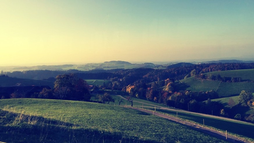 Hügelige Landschaft, saftige Weideflächen: Hier, im Berner Mittelland, werden regelmässig Ayahuasca-Trips angeboten.&nbsp;