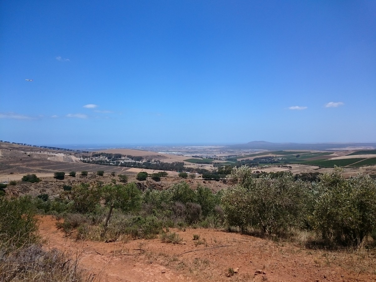 Trockener Boden und kaum Wolken am Himmel: Die Aussicht vom Rande des Weinbergs, auf dem sich Gina Canal derzeit befindet. Ganz hinten ist Robben Island zu erkennen.&nbsp;&nbsp;