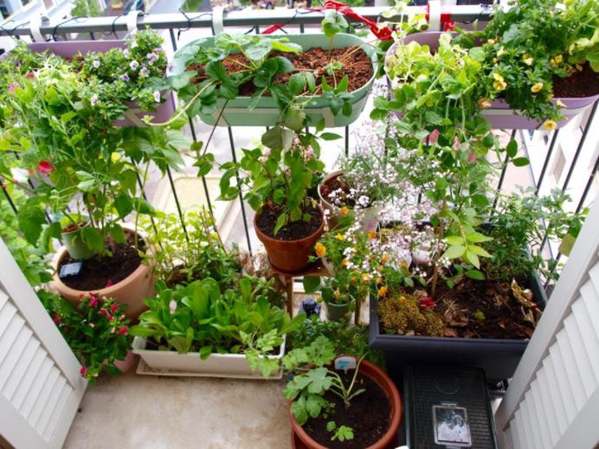 Balkongarten
