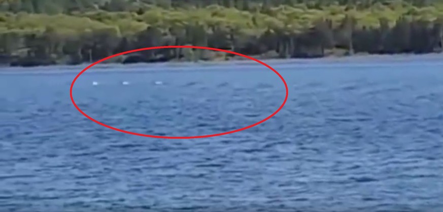 Das Ungeheuer von Loch Ness ist wieder gesichtet worden! Zumindest etwas mit 4 bis 5 Höckern