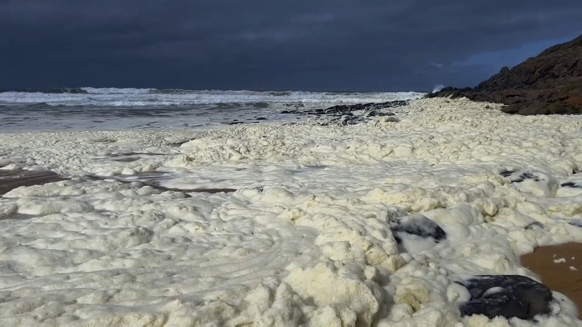This image made from video provided by Australian Broadcasting Corp., shows foam washing up on beach Monday, March 17, 2025, in Waitpinga, near Adelaide. (Australian Broadcasting Corp via AP)
Australi ...