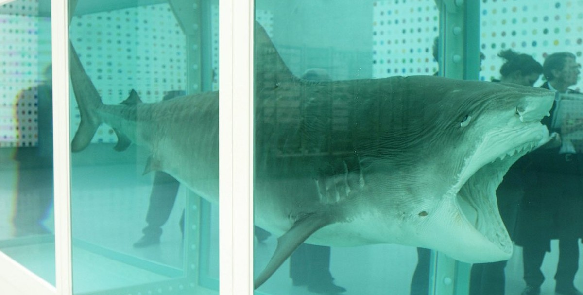 The famous work "The Physical Impossibility of Death in the Mind of Someone Living" (1991/2006) of British artist Damien Hirst, is shown as a part of the exhibition "Re-Objekt" (Re ...
