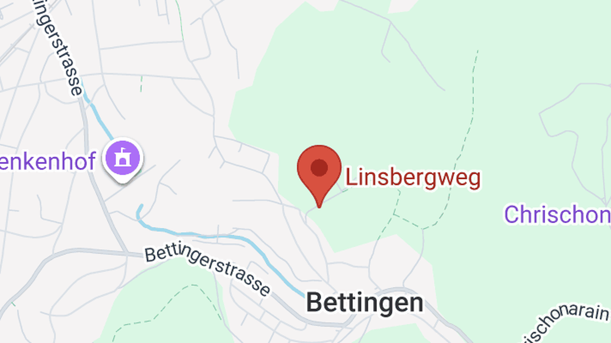 Bettingen-BS-Waldbrand-am-Linsberg-auf-200-Quadratmetern-Fl-che