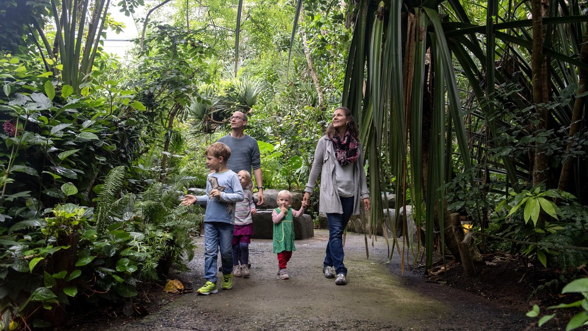 Gewinne jetzt Tickets für den Zoo Zürich für dich und deine Familie!