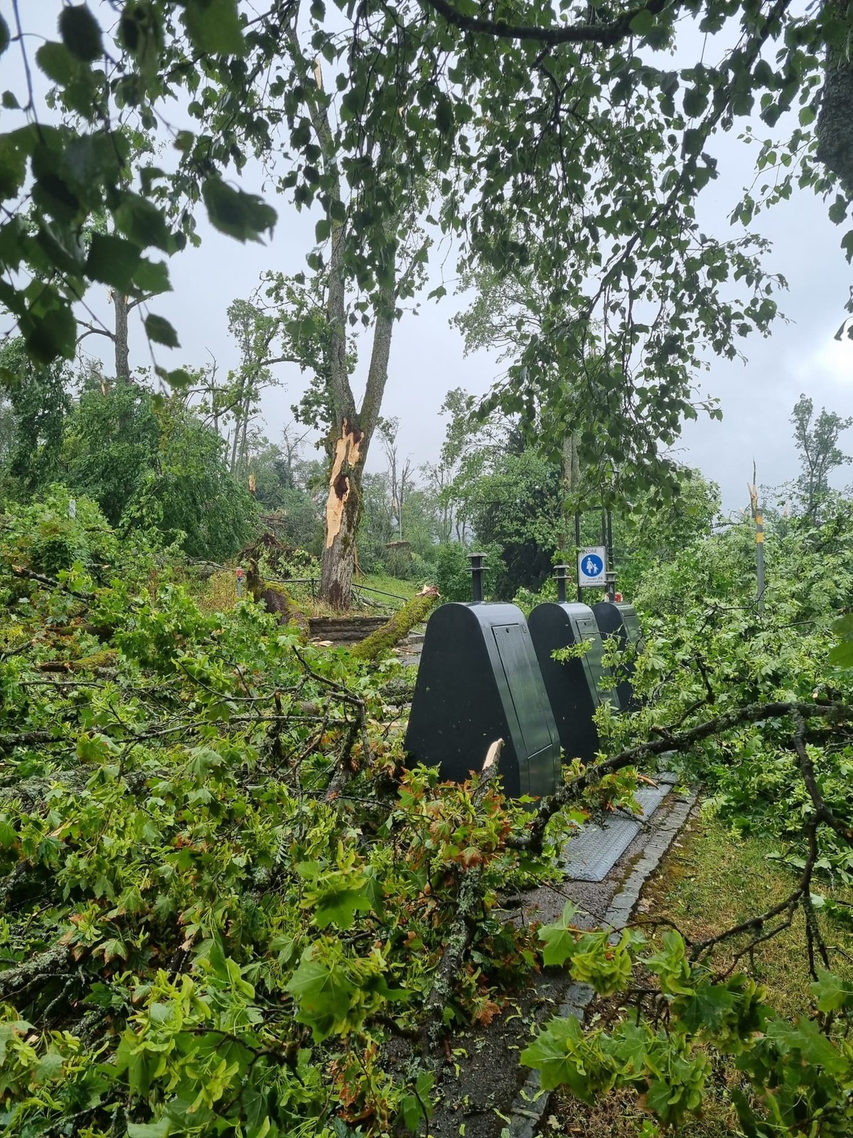 Le parc des Crêtes, au-dessus de la gare, n'existe plus.