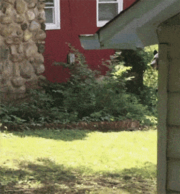 Die Lustigsten Bilder Und Gifs Aus Dem Internet In Einem Einzigen Beitrag Watson