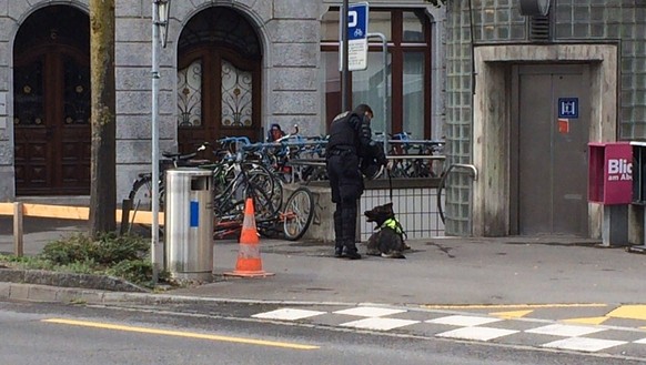 Für die Triage kommen auch Polizeihunde zum Einsatz.