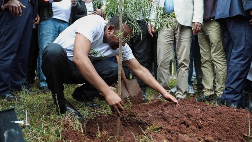 Einer von Millionen: Äthiopiens Premierminister Abiy Ahmed pflanzt einen Baum.