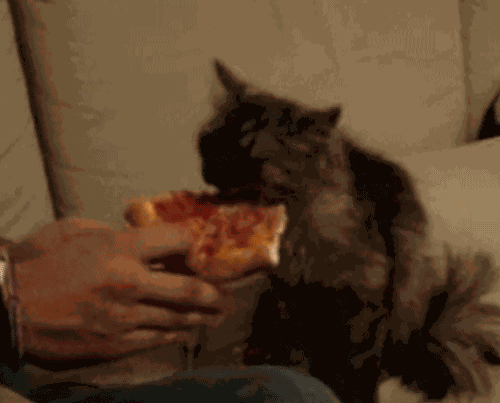 Animiertes GIF