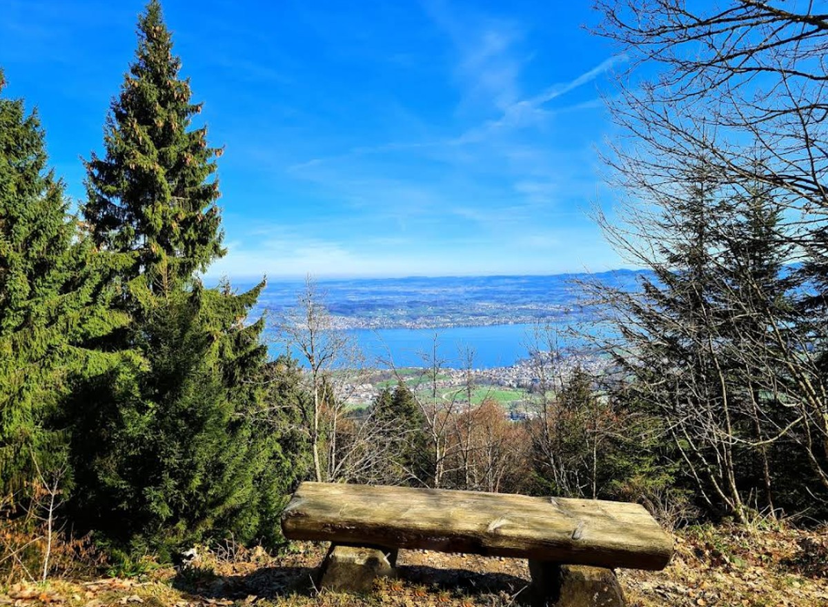 Wildspitz Feusisberg Zürichsee