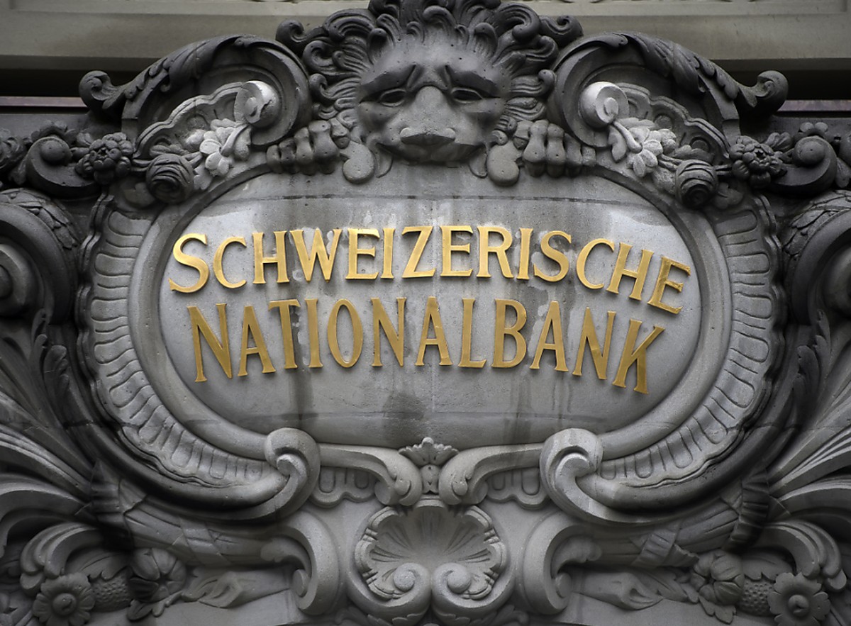 Die Schweizerische Nationalbank (SNB) hat im vergangenen Jahr gem