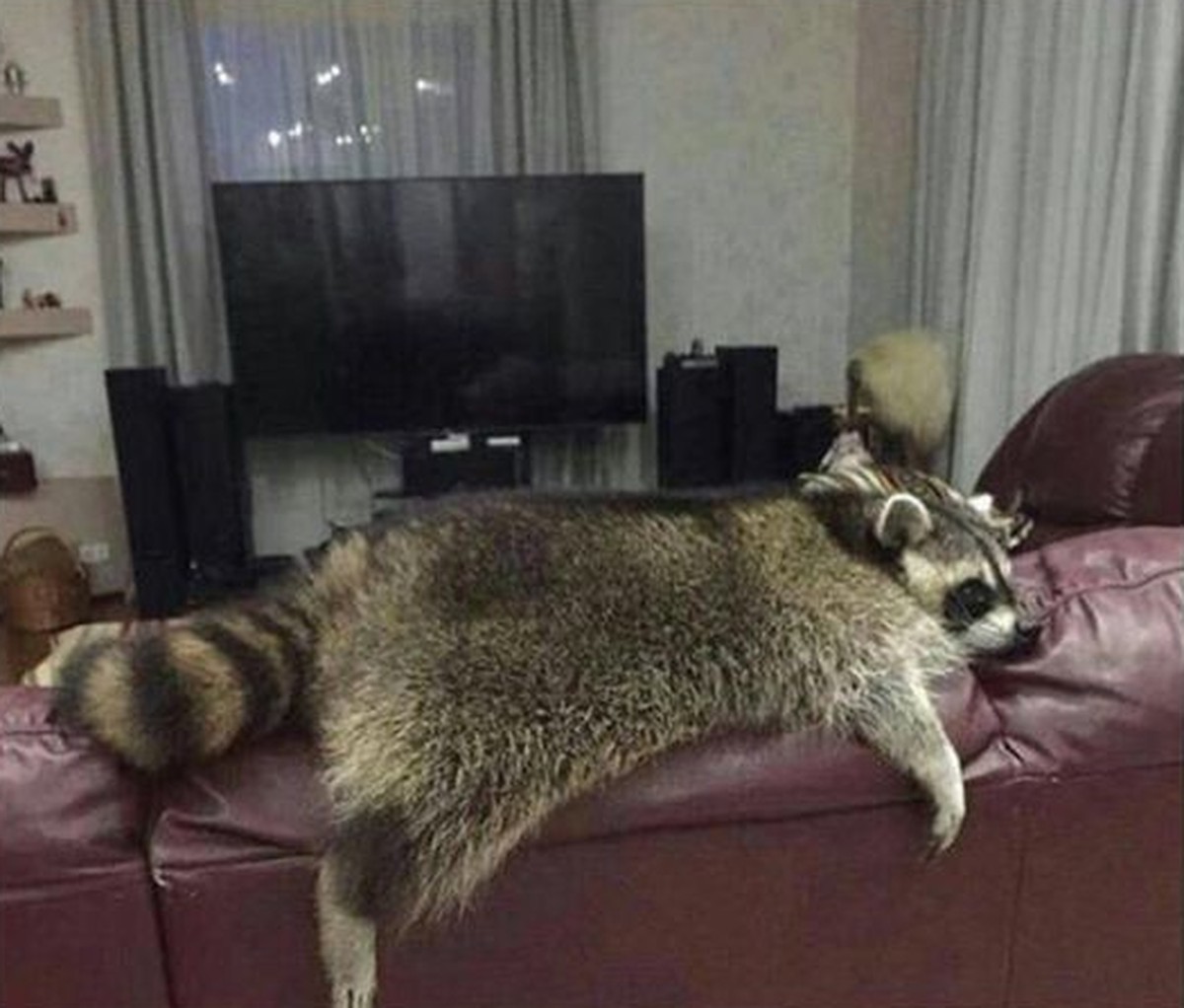 Lustige Tiere. Aka "fönni tiere".

Hier kann ich schreiben, was ich will. Wieso? Weil es niemanden schert, was hier steht.

Blabli. Bloblu. Düdelidü.. Hallo.

E= mc2

Die Quelle aller narrat ...