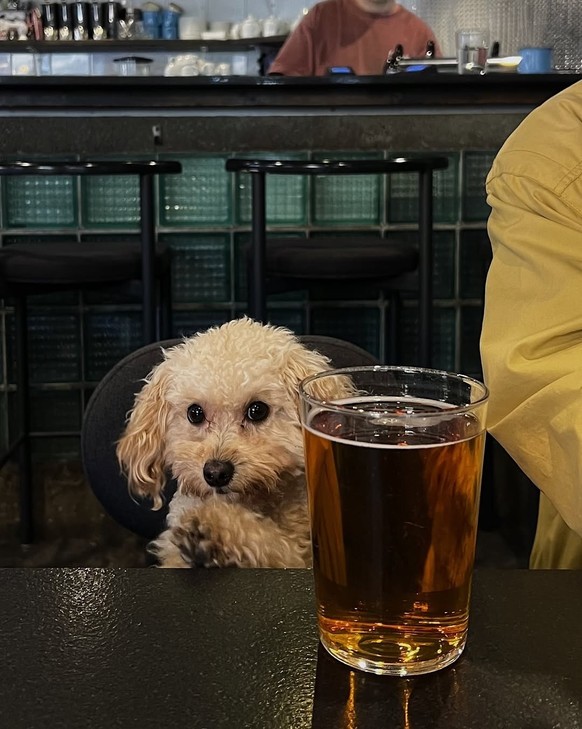 cute news tier hund

https://www.instagram.com/p/DRlCxVwjT-a/?img_index=1