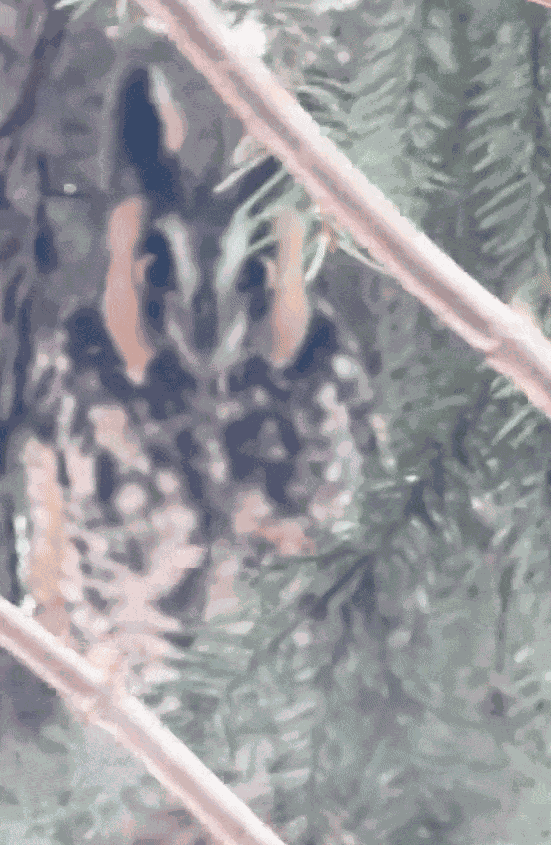 Animiertes GIF