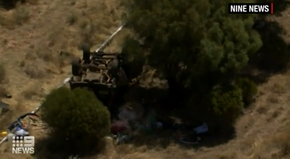The car after the accident behind dense undergrowth.