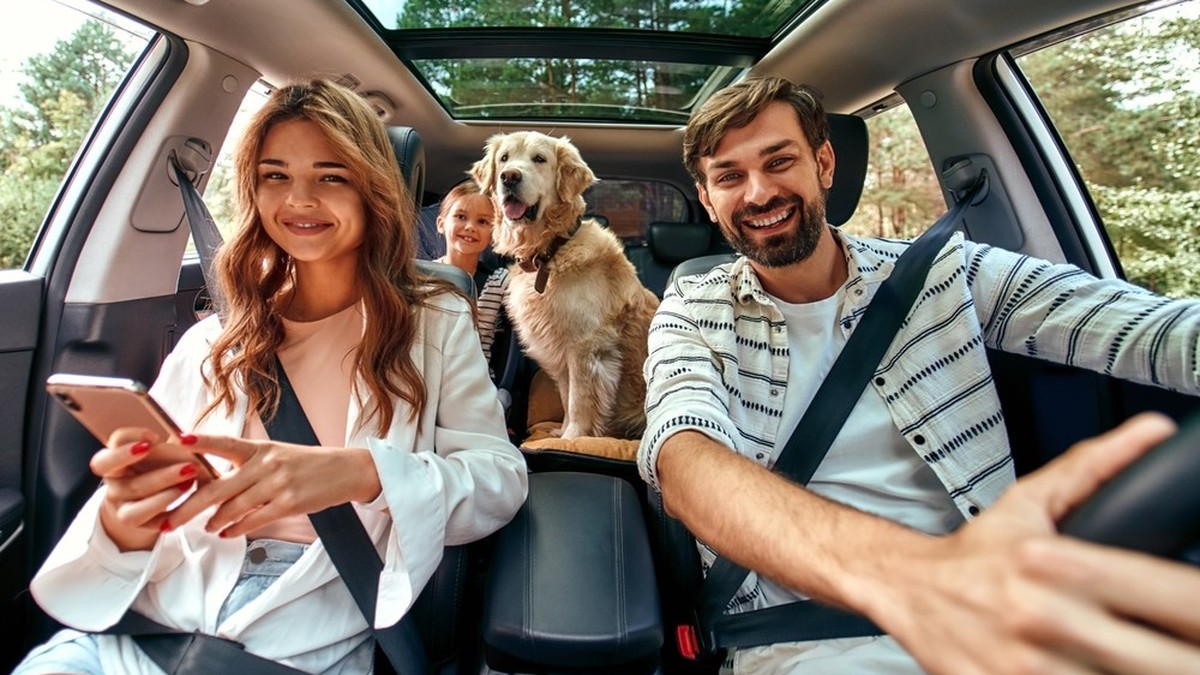 Dieses-Land-sollte-bei-einem-Roadtrip-mit-Hund-weit-oben-auf-der-Liste-stehen