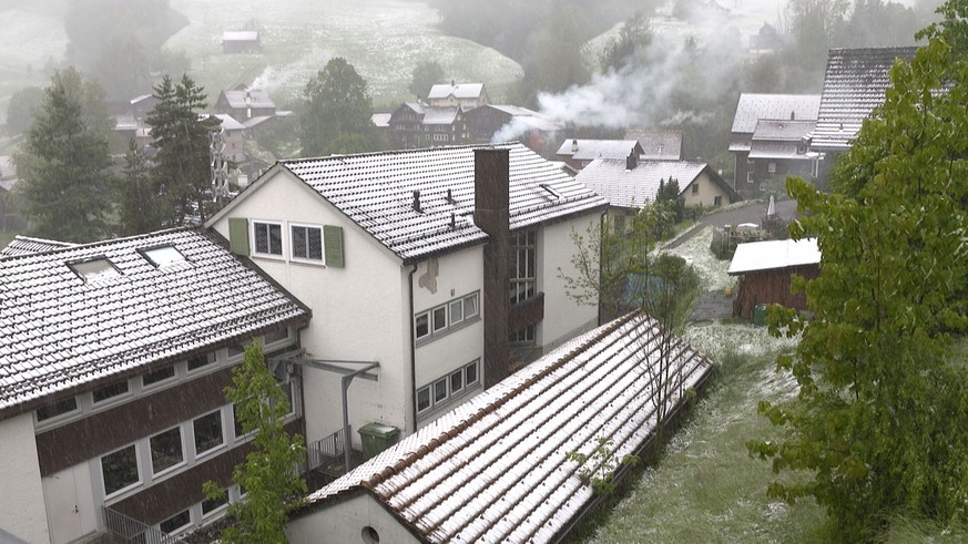 Krinau SG Schnee 12.5.26