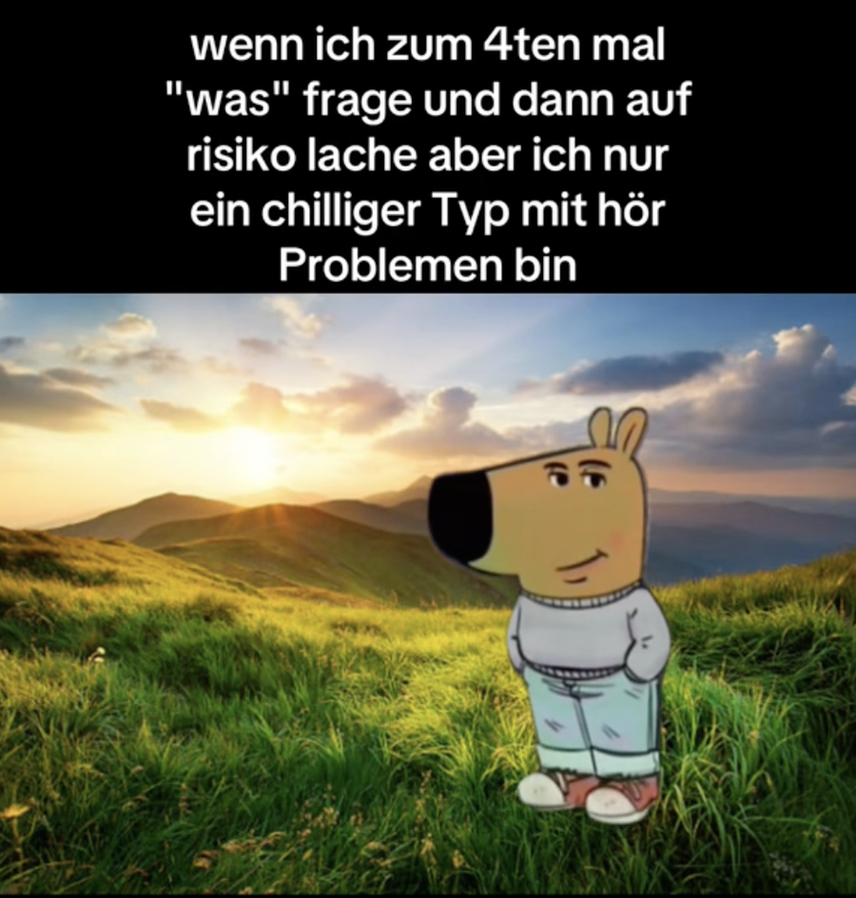 Chill Guy, Entspannter Typ