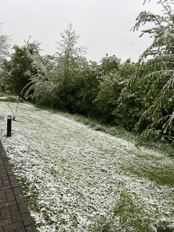 In Othmarsingen AG reicht es gar für eine weisse Decke.