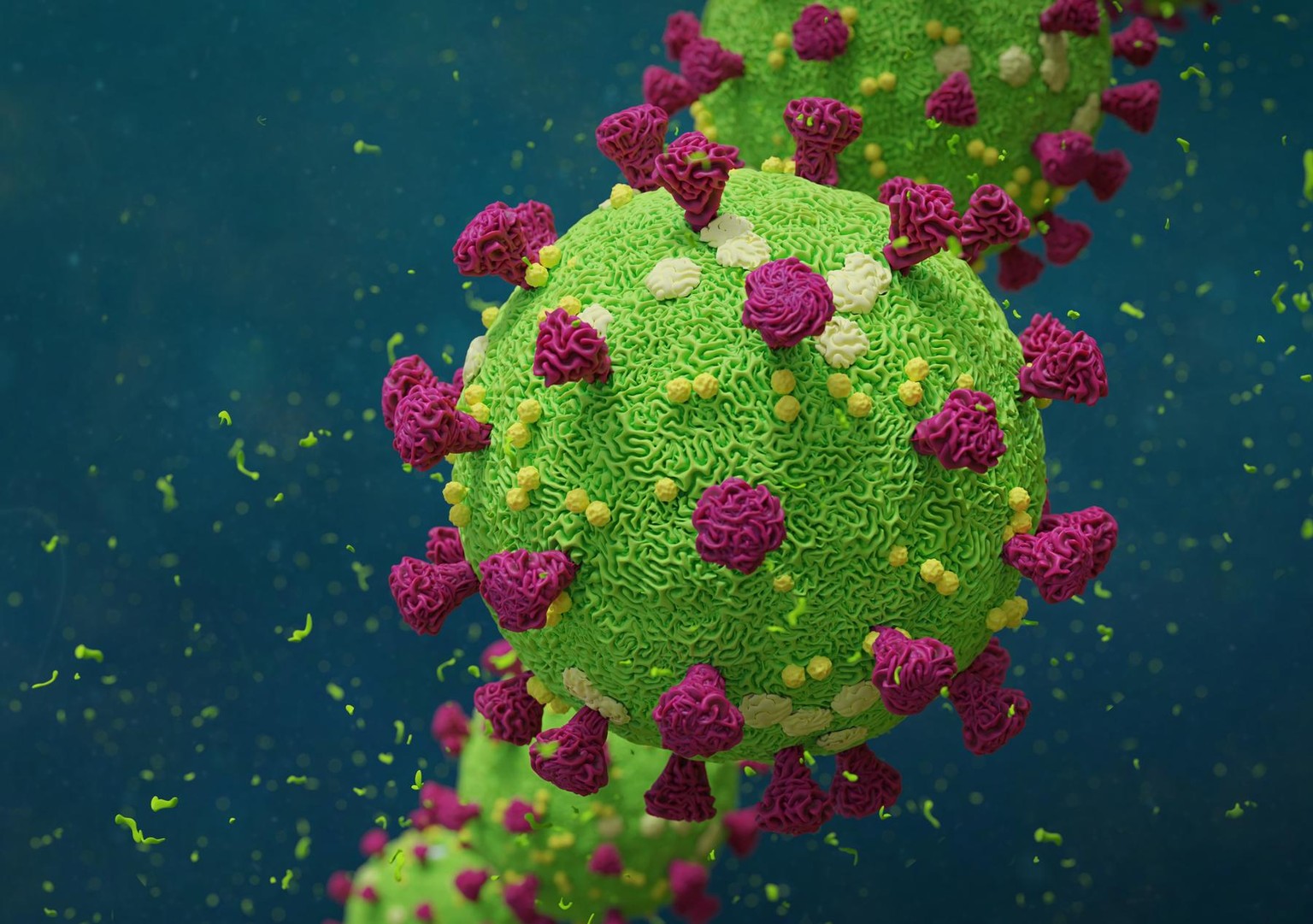 Covid-19 coronavirus, virus that causes acute respiratory infections and the common cold, Sars-CoV-2 background with copy space (3d microbiology render banner)