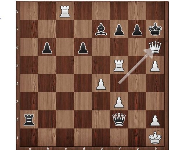 Carlsen bleibt König: Norweger gewinnt Schach-Weltmeisterschaft
Happy Birthday Magnus ;)