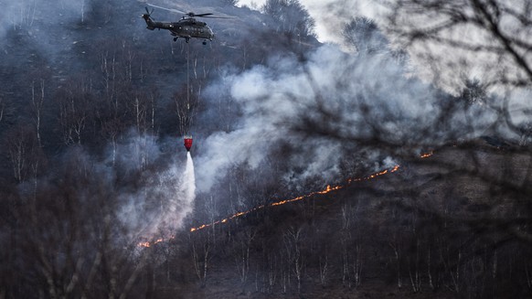 Ein Waldbrand wird von aufkommenden Winden in den Huegeln von Gambarogno bei Indemini am Lago Maggiore am Montag, 31. Januar 2022 befeuert. Das hat inzwischen auf einer Flaeche von sechs Hektaren erfa ...