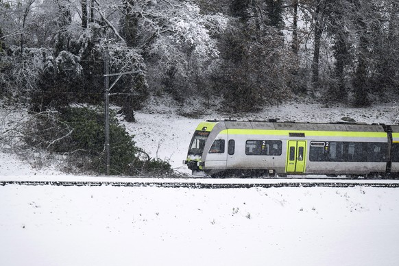 Ein Regionalzug dser BLS faehrt in einen umgestuerzten Baum, am Samstag, 2. Dezember 2023, in Uetendorf. Ein Tiefdruckgebiet beschert Schnee bis in die Niederungen. (KEYSTONE/Peter Schneider)