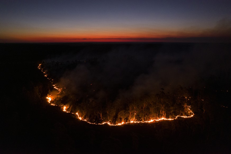 A fire consumes a forest near La Cruz, Corrientes province, Argentina, Friday, Feb. 18, 2022. Fires continue to ravage the Corrientes province that has burnt over half-a-million hectares. (AP Photo/Ro ...